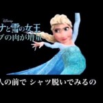 『アナと雪の女王』の替え歌