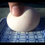 【実験】一か月間、酢に漬けた卵の動画