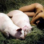 全裸で豚と一緒に過ごす動画！