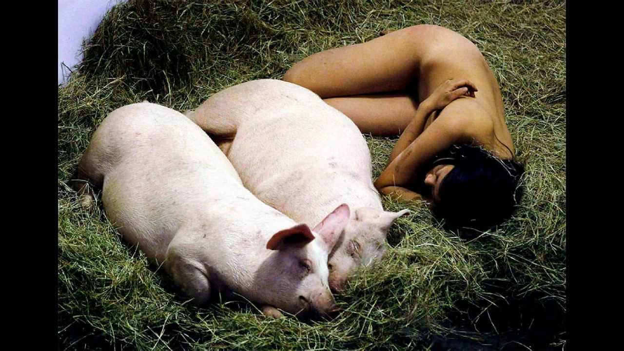 全裸で豚と一緒に過ごす動画！