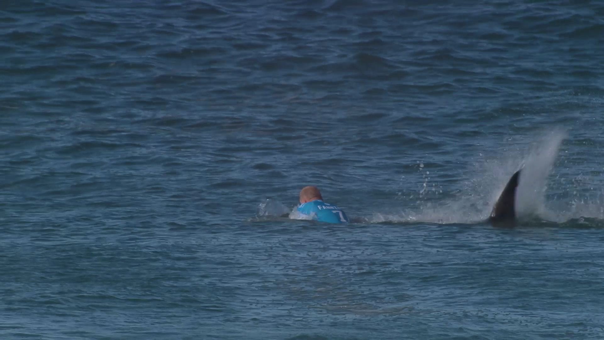 サーフィン世界大会で巨大サメが選手襲う！