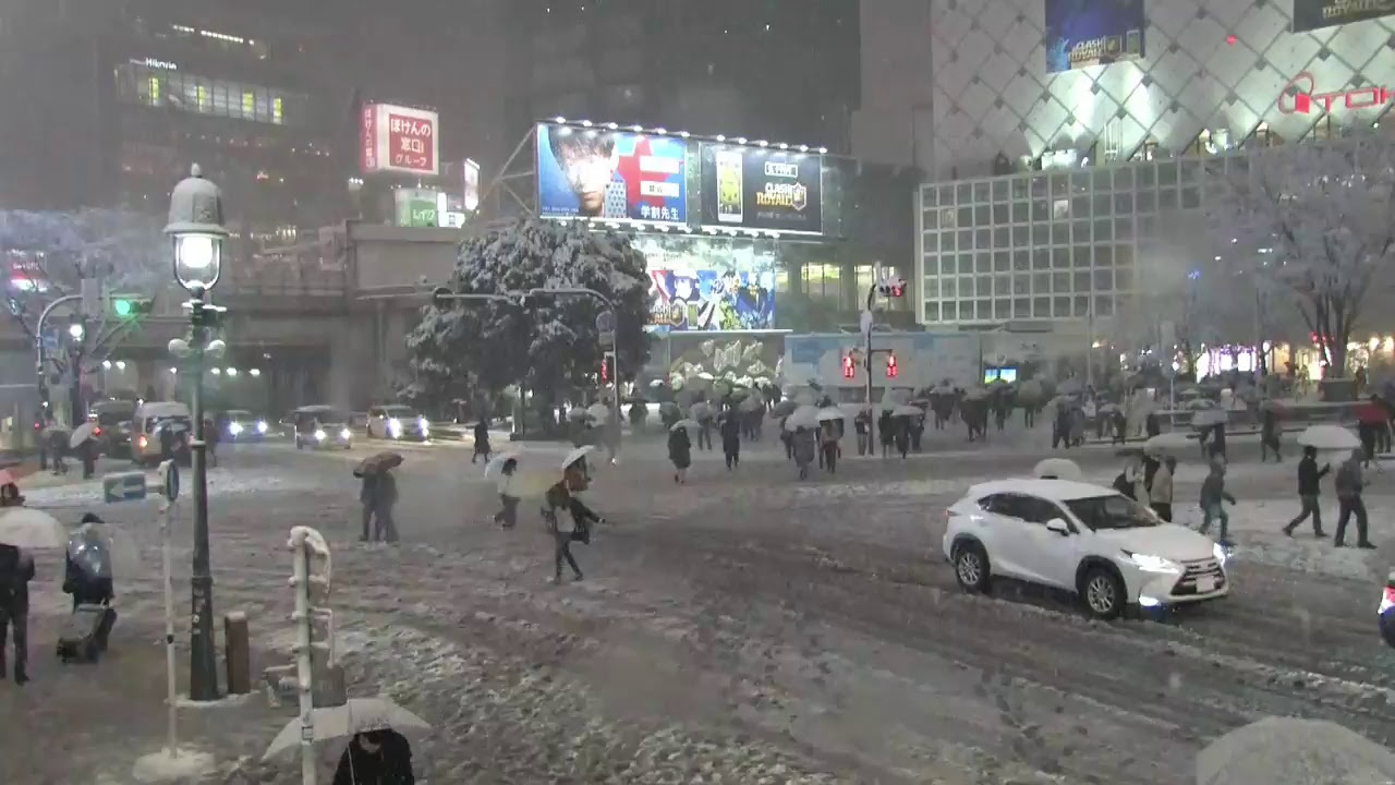 東京で大雪！